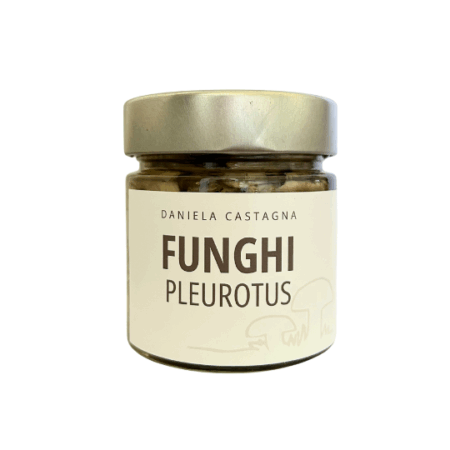 Funghi Pleurotus